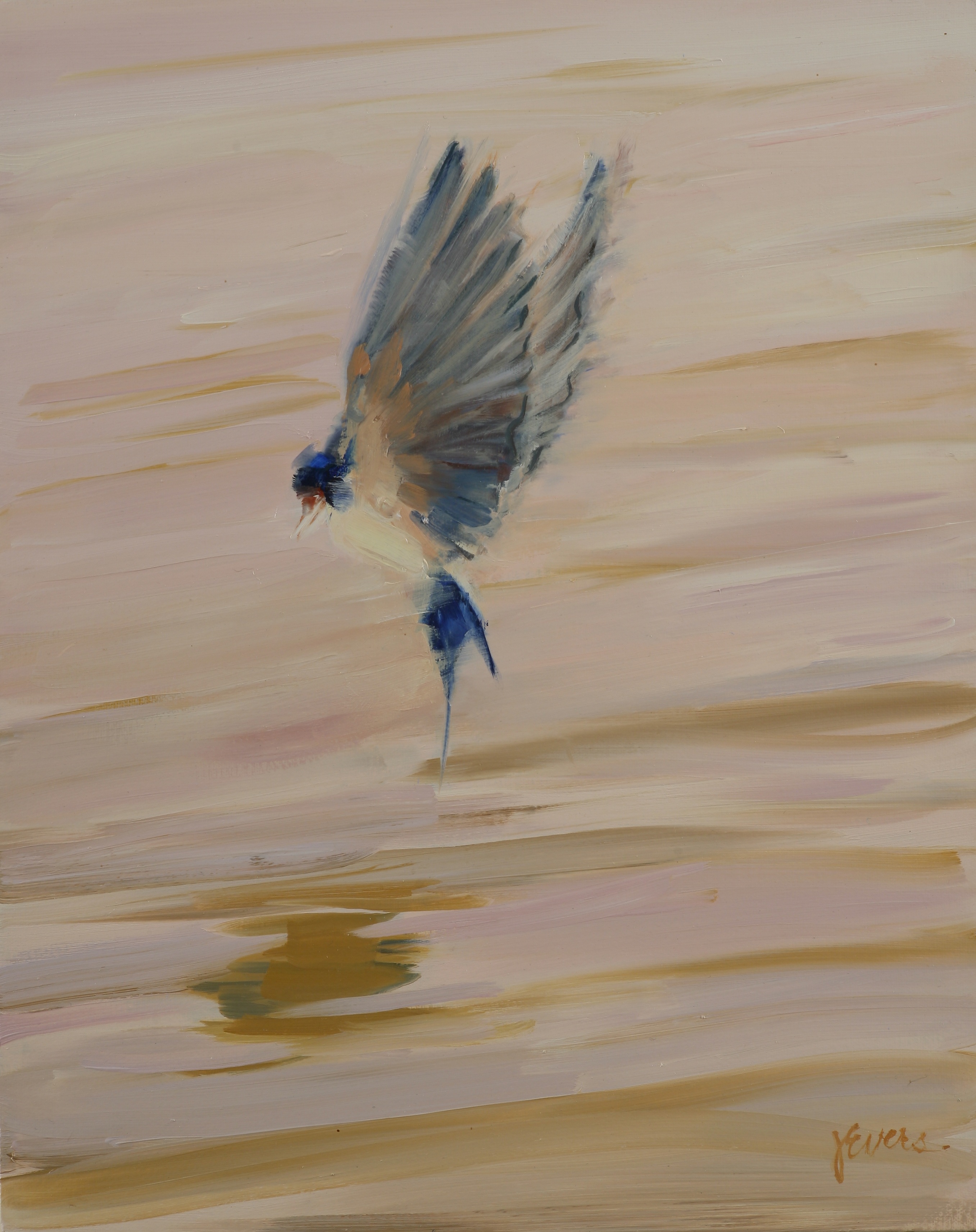 Hover - Barn Swallow